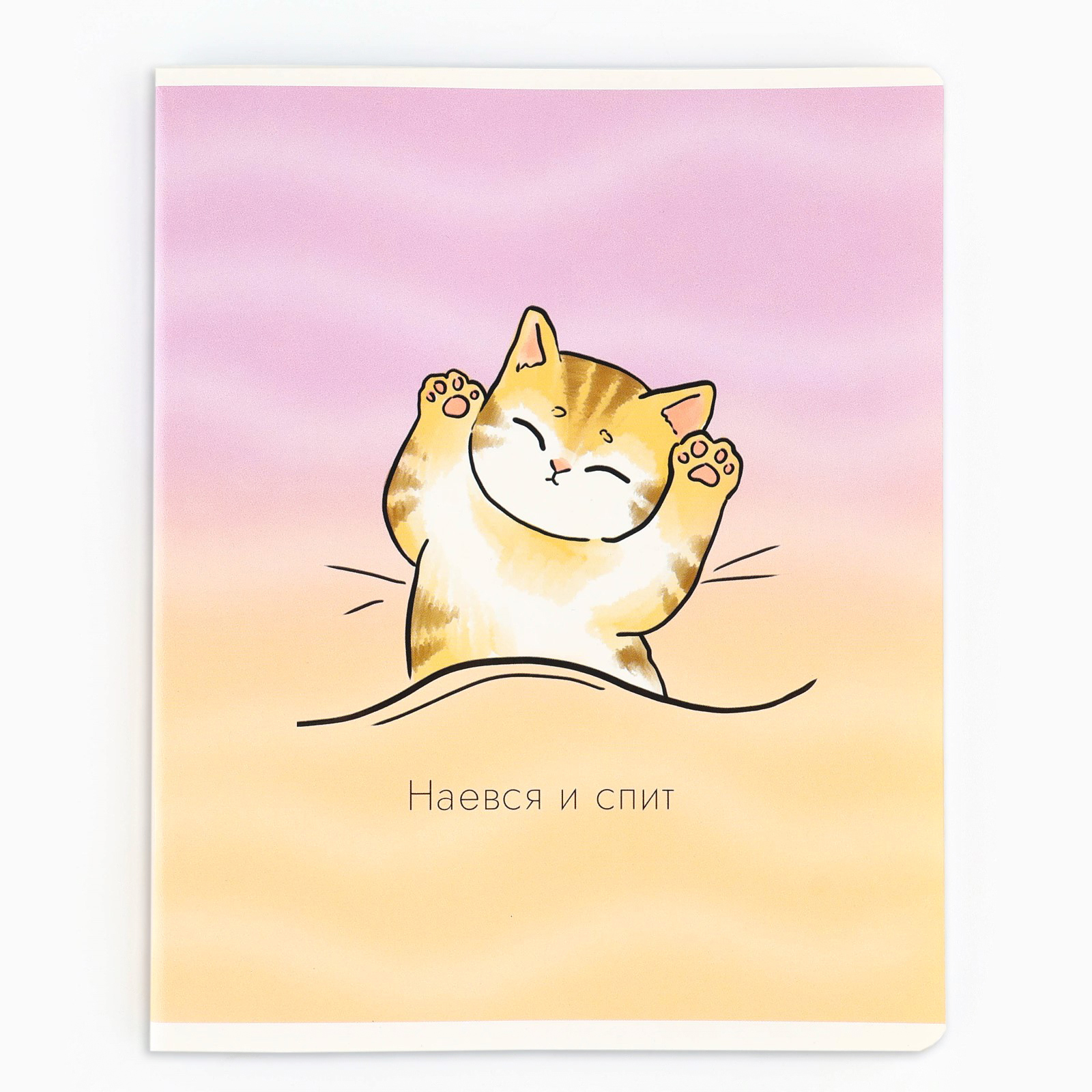 Тетрадь в клетку, 48 л., А5, на скрепке, блок №1 «Котик с лапками» МИКС - фото 4