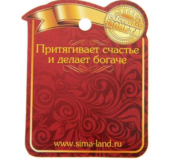 Монета выбора сувенир «Пить - Не пить», d=2.5 см - фото 4