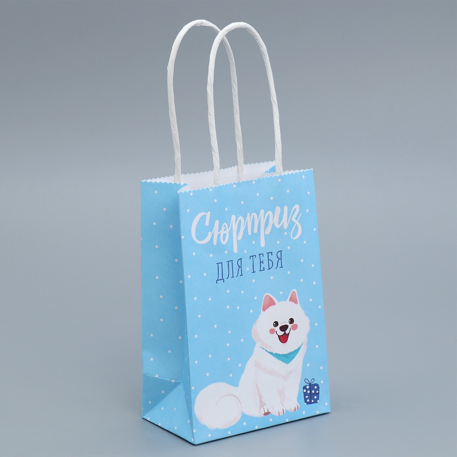 Пакет подарочный крафтовый, упаковка, «Сюрприз для тебя», 15 х 10 х 6 см